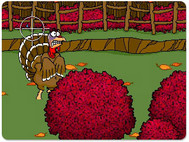 Turkey Shoot Thanksgiving Screensaver screenshot